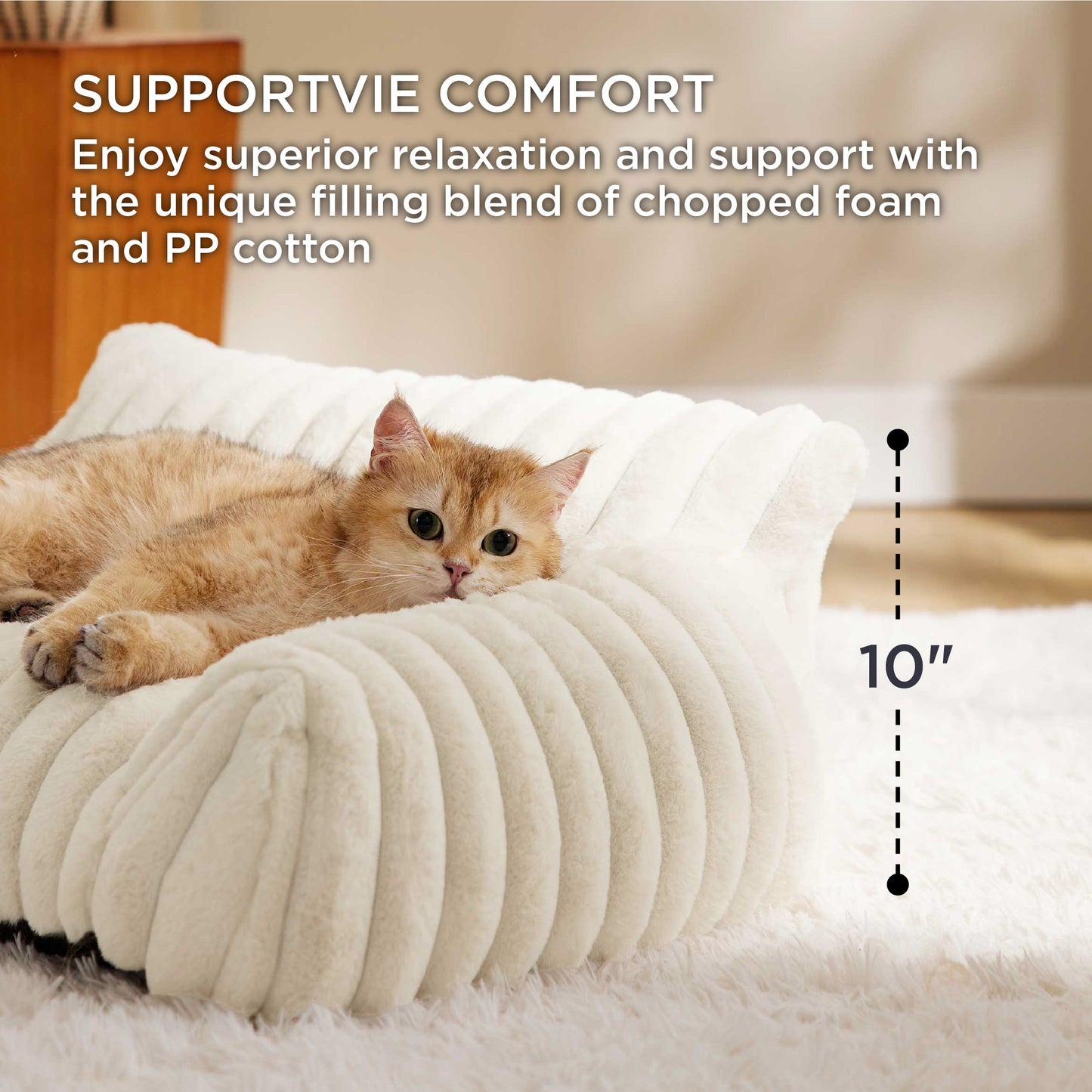 Cloudnest Pet Sofa
