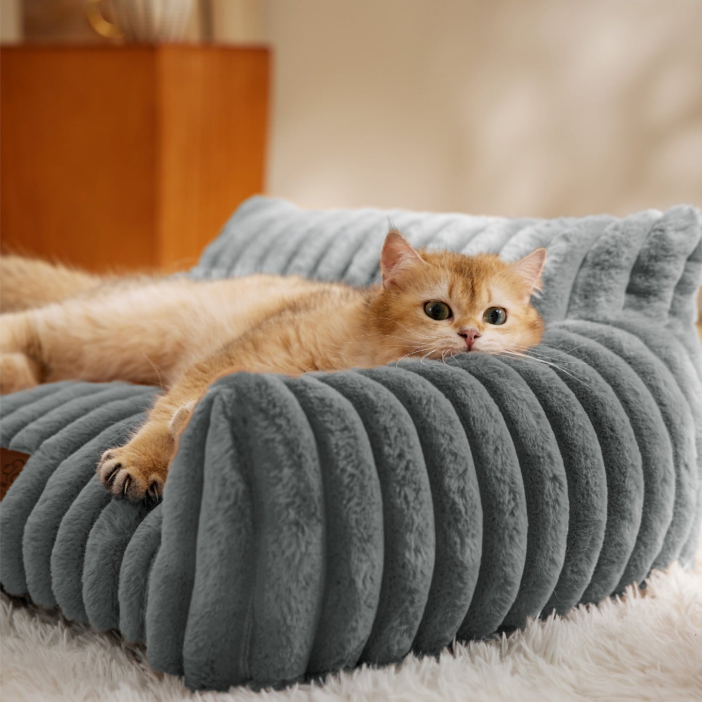 Cloudnest Pet Sofa