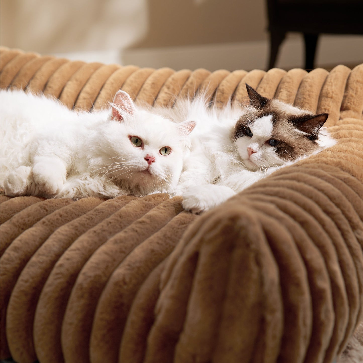 Cloudnest Pet Sofa