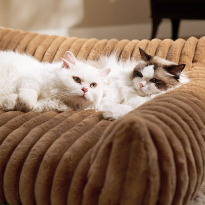 Cloudnest Pet Sofa
