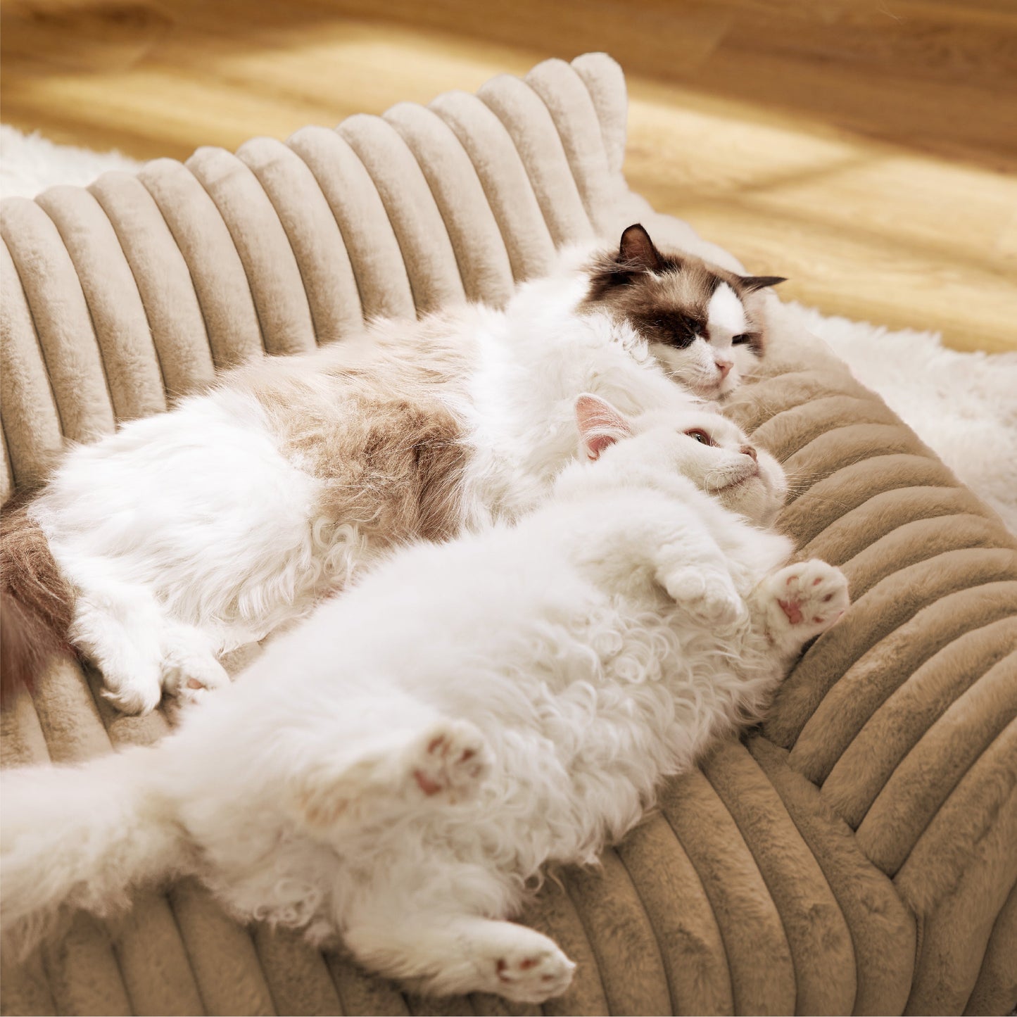 Cloudnest Pet Sofa