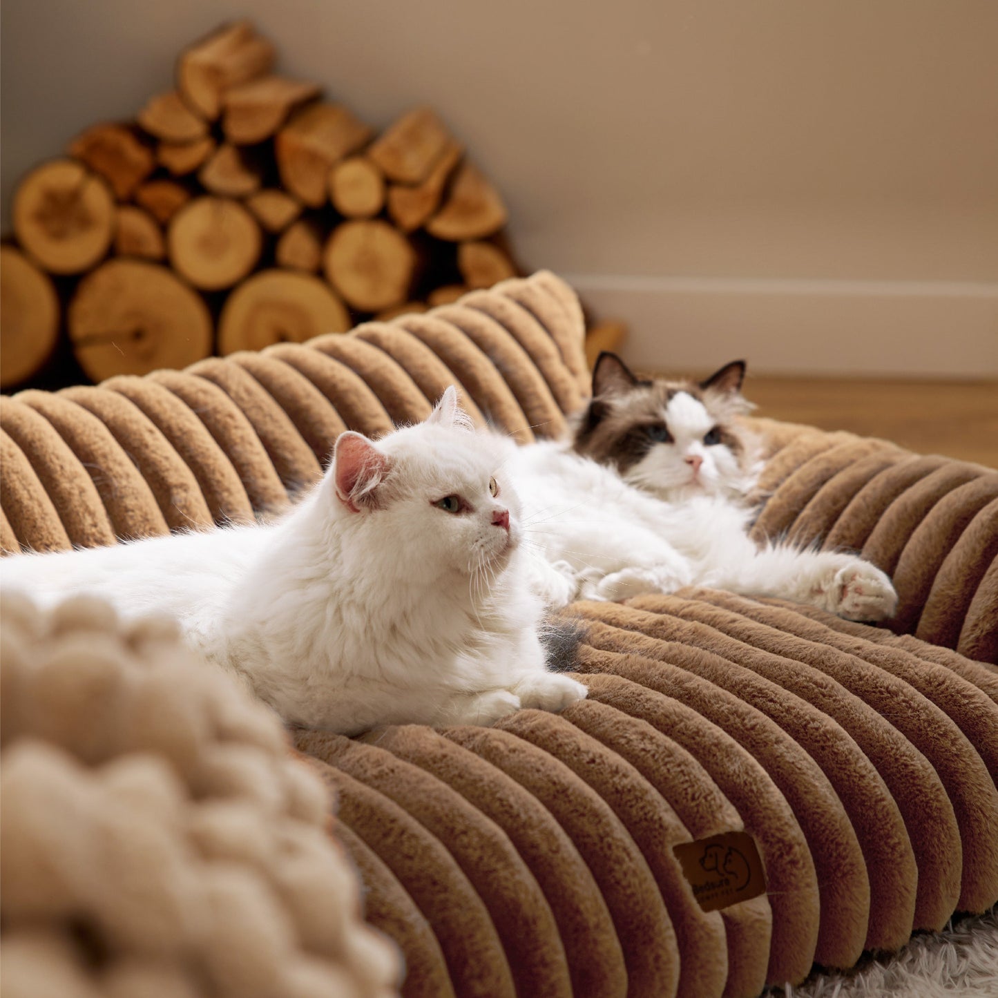 Cloudnest Pet Sofa
