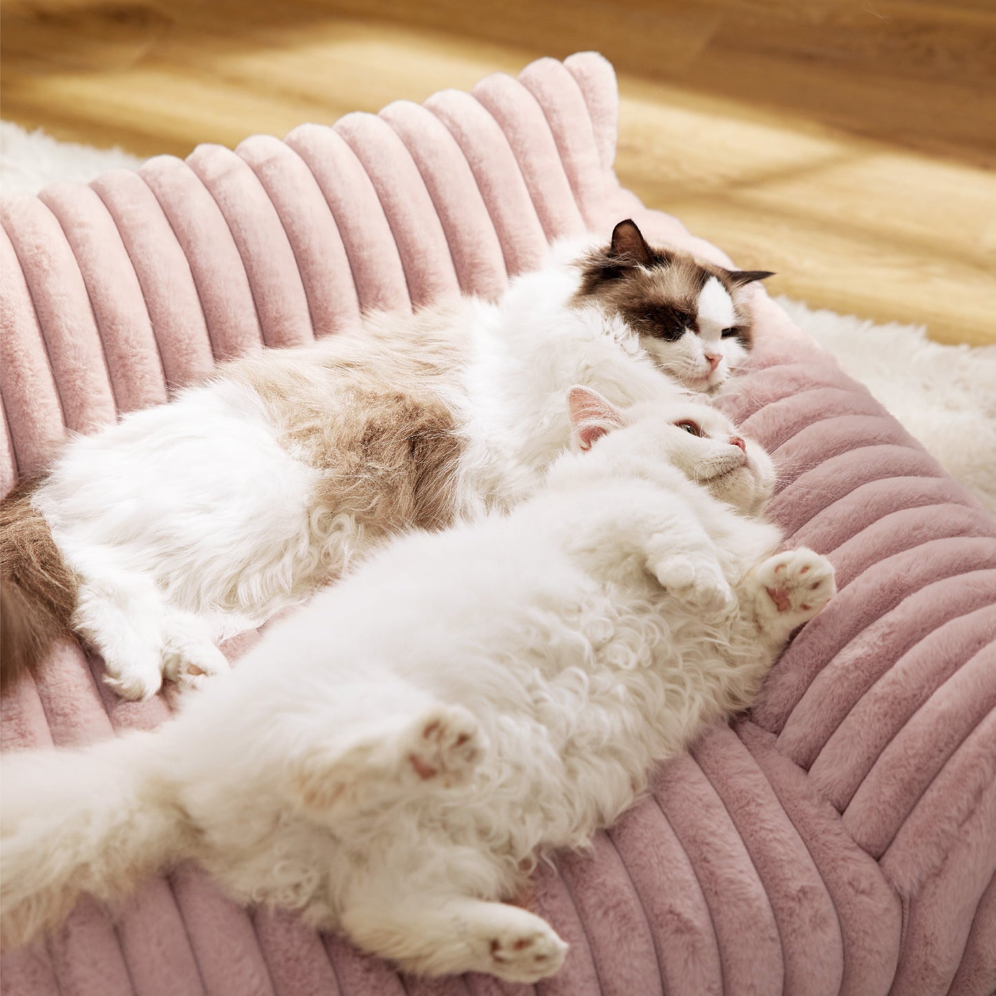Cloudnest Pet Sofa