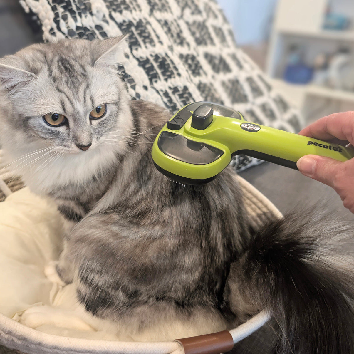 PurrMist 3-in-1 Self-Cleaning Pet Brush