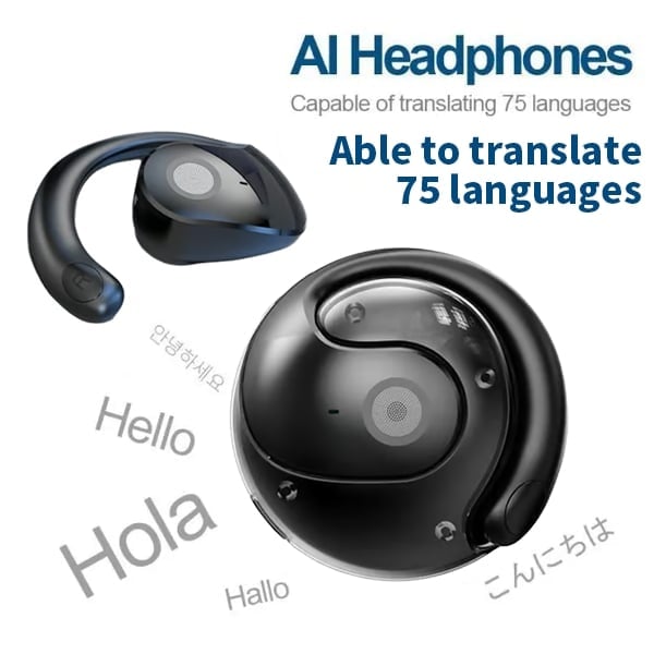 The LinguaLoop™